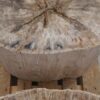 Side table petrified wood 52006