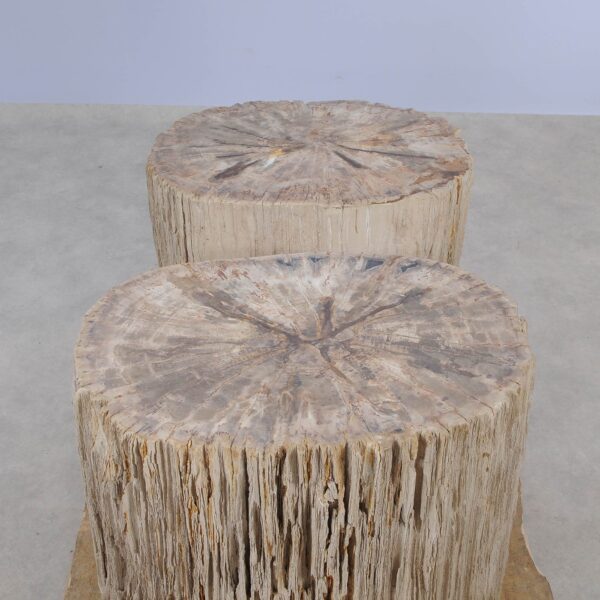 Side table petrified wood 52006