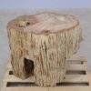 Side table petrified wood 52007