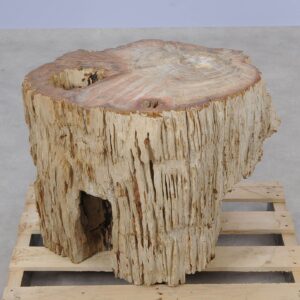 Side table petrified wood 52007