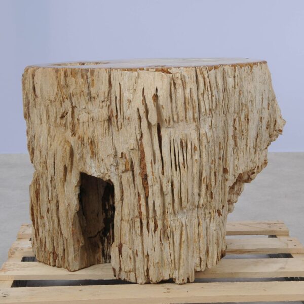 Side table petrified wood 52007