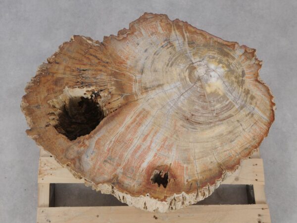 Side table petrified wood 52007