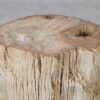Side table petrified wood 52007
