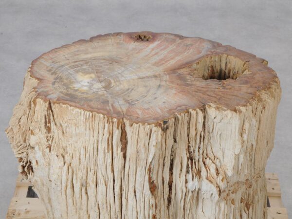 Side table petrified wood 52007