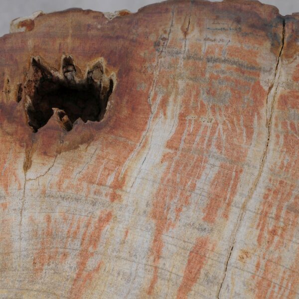 Side table petrified wood 52007