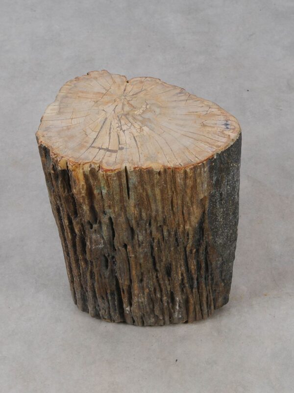 Side table petrified wood 53009