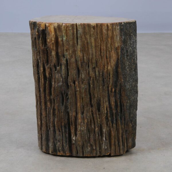 Side table petrified wood 53009