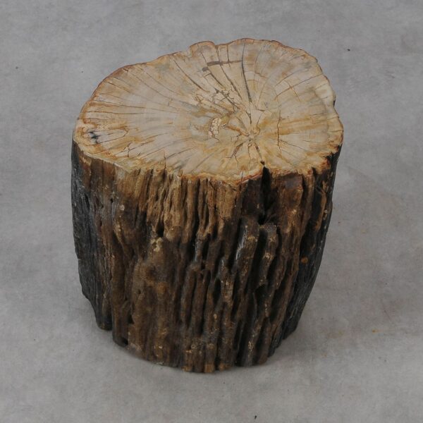 Side table petrified wood 53009