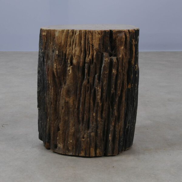 Side table petrified wood 53009