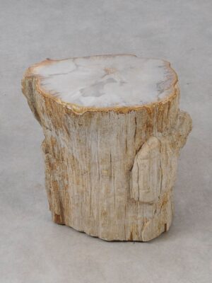 Side table petrified wood 53013