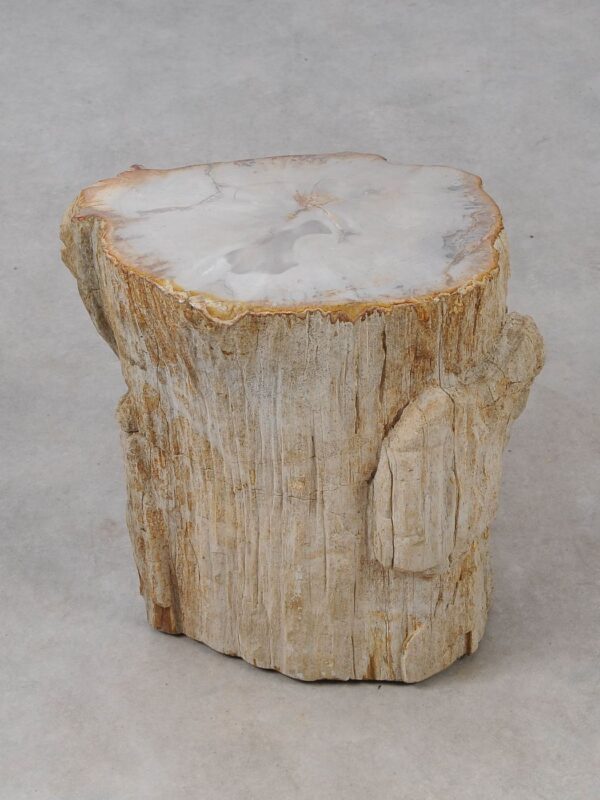 Side table petrified wood 53013