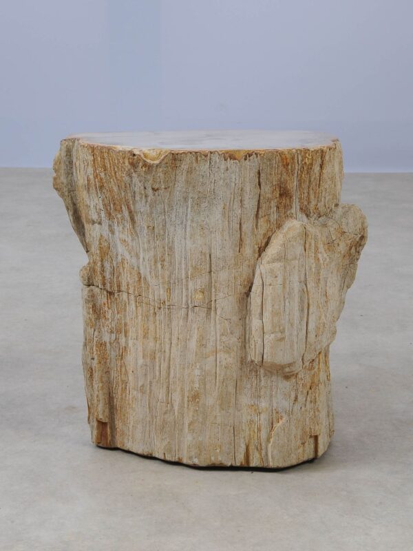 Side table petrified wood 53013