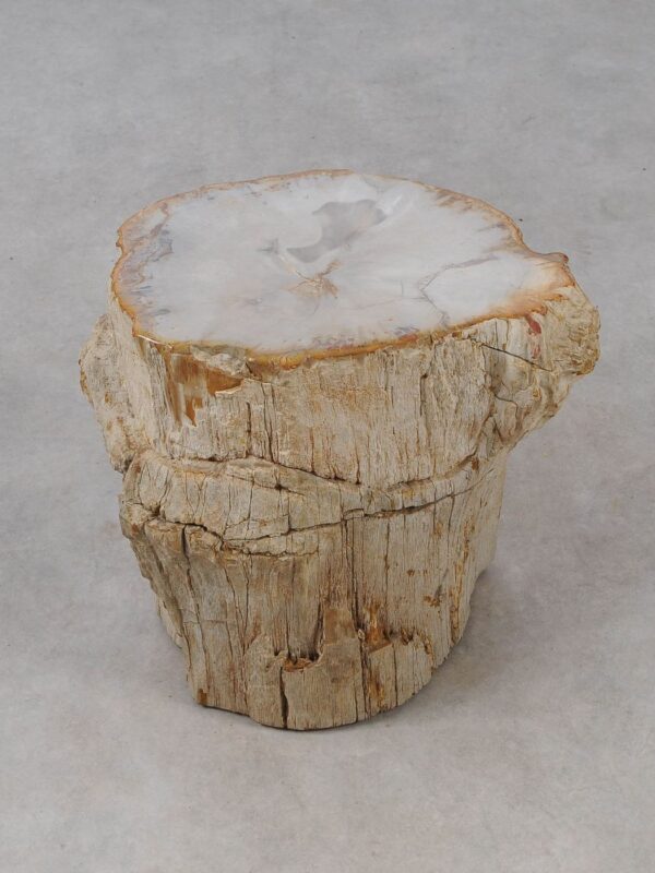 Side table petrified wood 53013