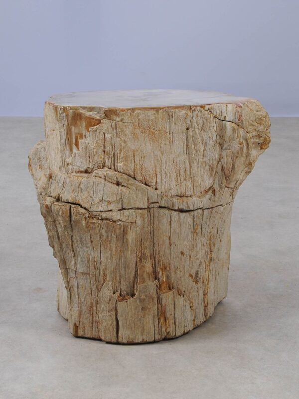 Side table petrified wood 53013