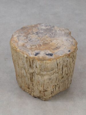 Side table petrified wood 53015