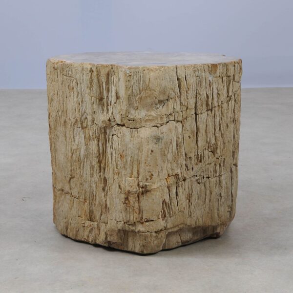 Side table petrified wood 53015