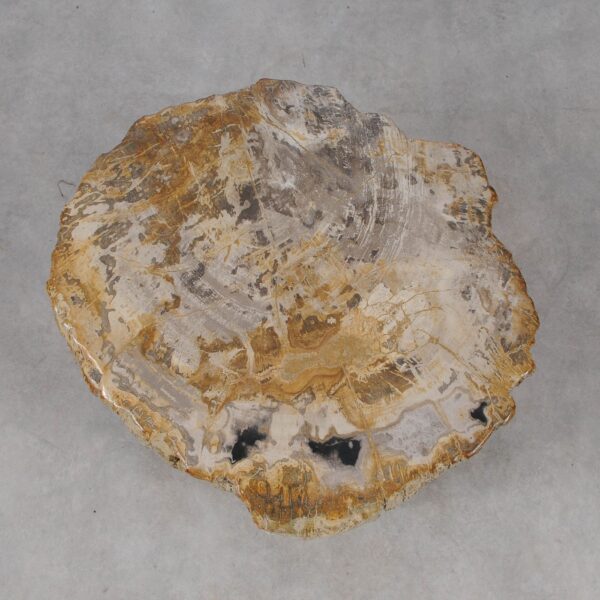 Side table petrified wood 53015