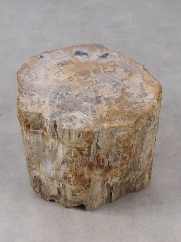 Side table petrified wood 53015