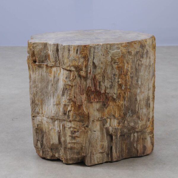 Side table petrified wood 53015