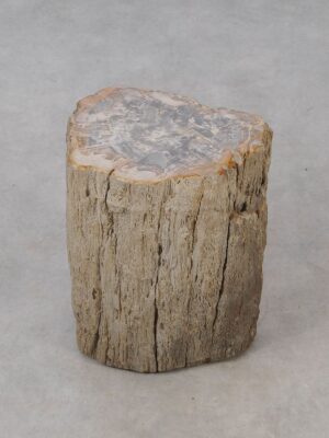 Side table petrified wood 53016