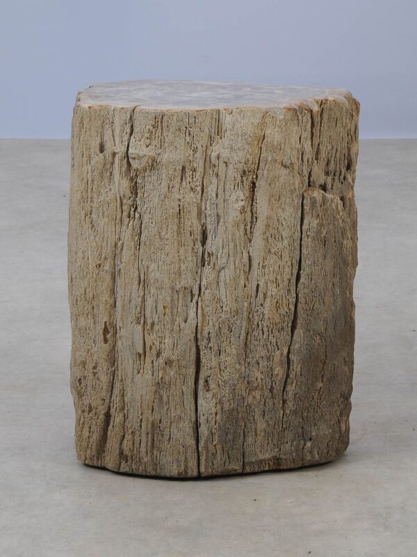 Side table petrified wood 53016