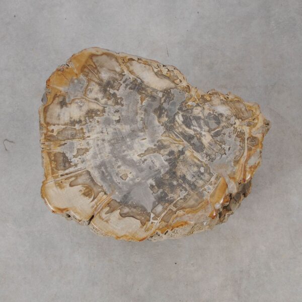 Side table petrified wood 53016