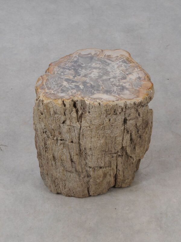 Side table petrified wood 53016