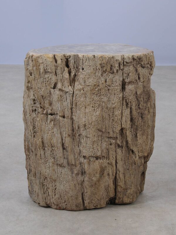 Side table petrified wood 53016