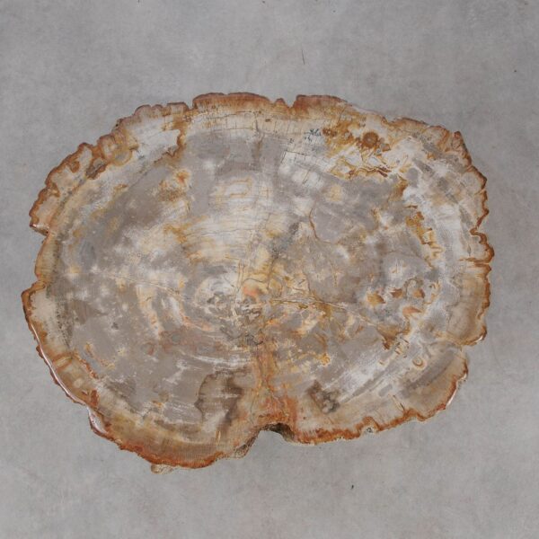 Side table petrified wood 53017