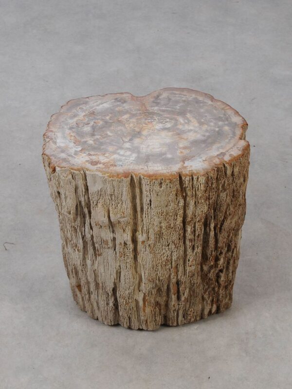 Side table petrified wood 53017