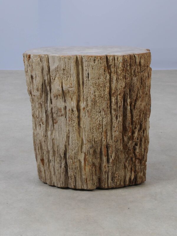 Side table petrified wood 53017