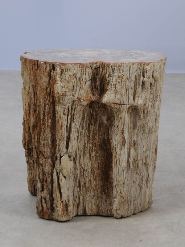 Side table petrified wood 53017