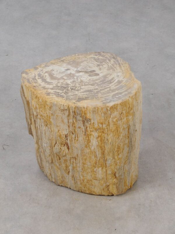 Side table petrified wood 53018