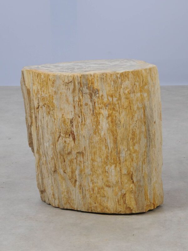 Side table petrified wood 53018