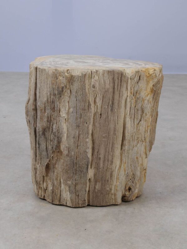 Side table petrified wood 53018