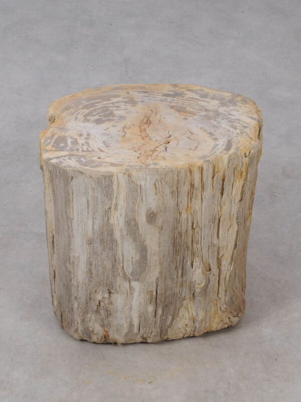 Side table petrified wood 53019