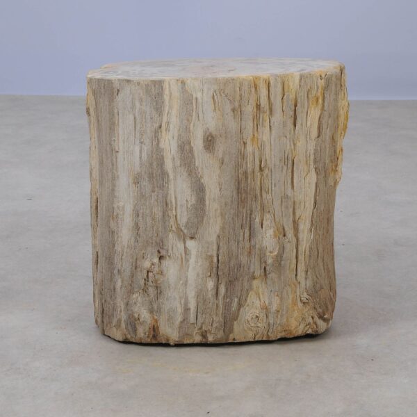 Side table petrified wood 53019