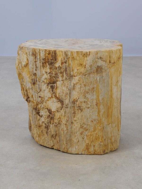 Side table petrified wood 53019