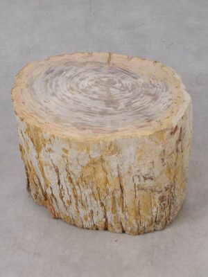 Side table petrified wood 53021