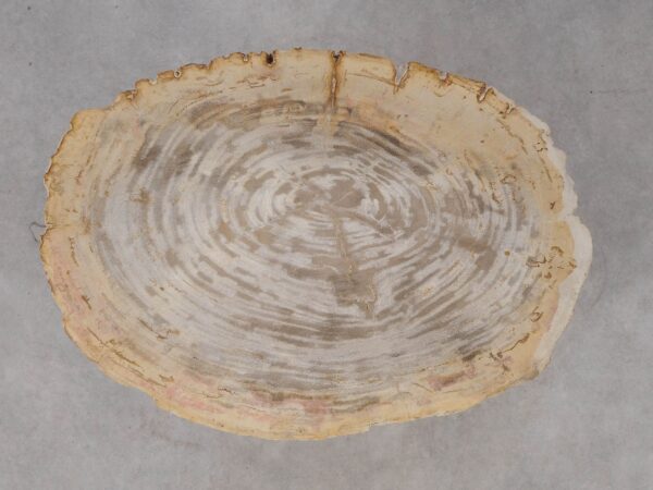 Side table petrified wood 53021