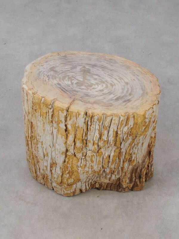 Side table petrified wood 53021