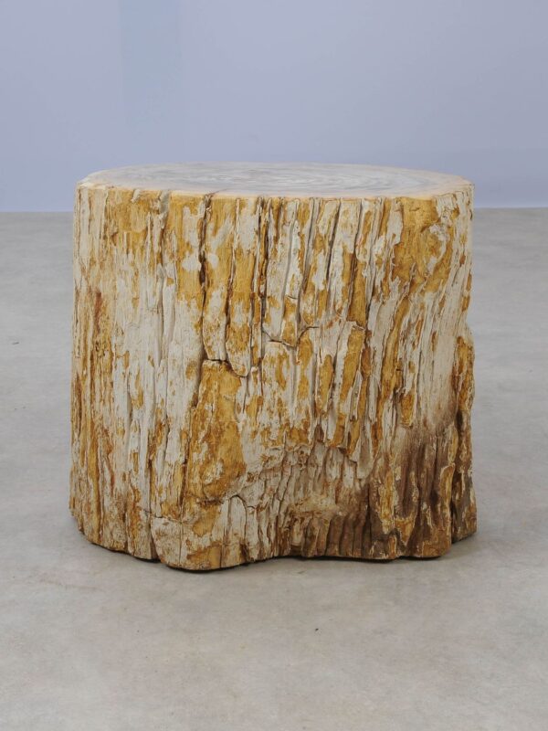 Side table petrified wood 53021