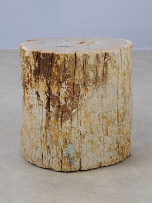 Side table petrified wood 53023