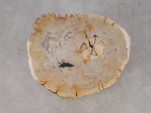 Side table petrified wood 53023