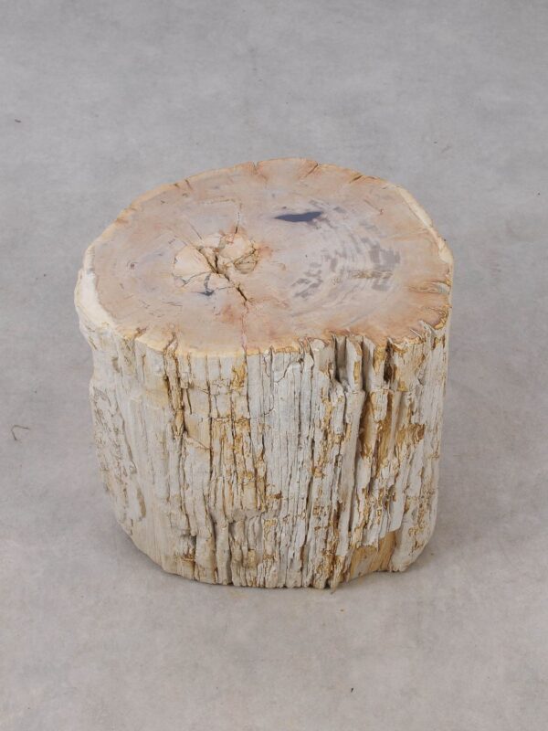 Side table petrified wood 53023