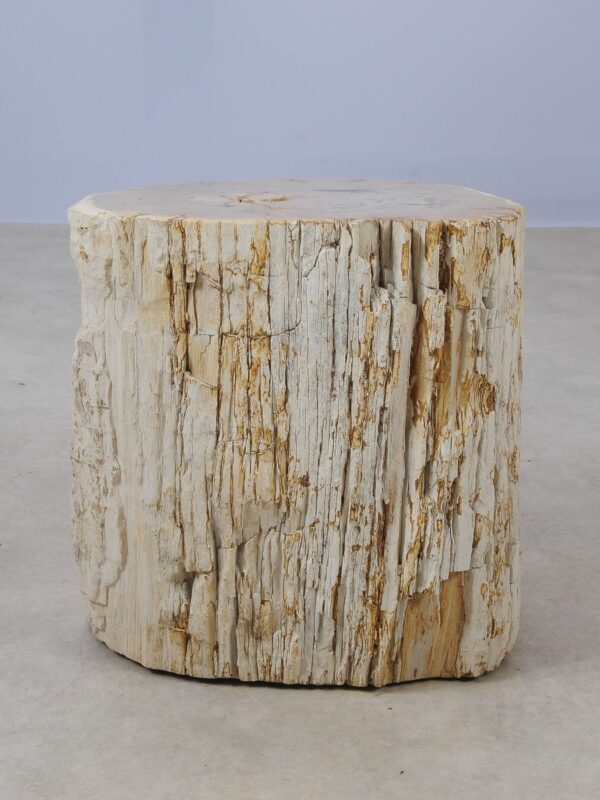 Side table petrified wood 53023