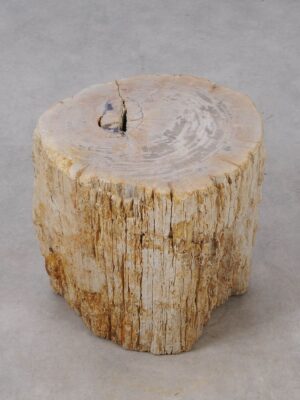 Side table petrified wood 53025