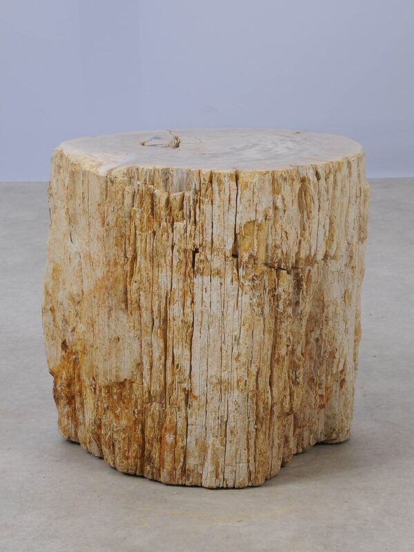 Side table petrified wood 53025