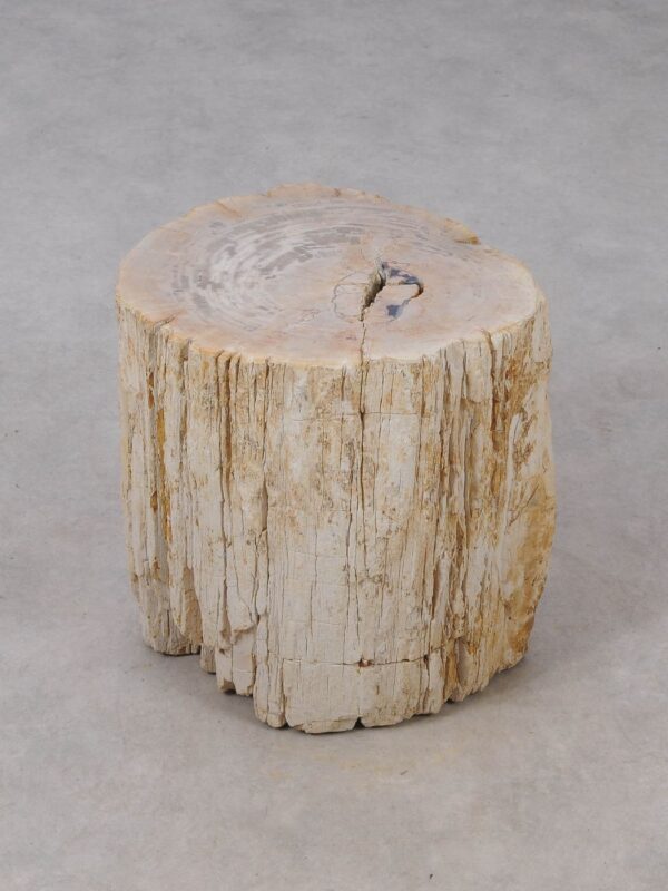 Side table petrified wood 53025