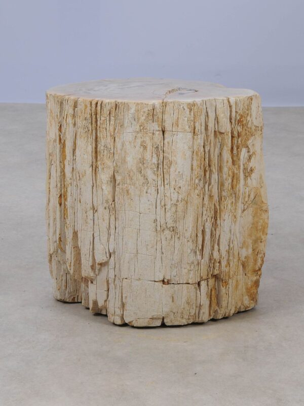 Side table petrified wood 53025